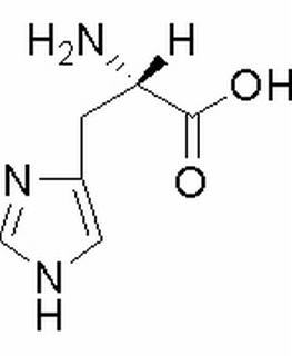 L-組氨酸