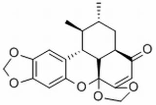 三白草酮