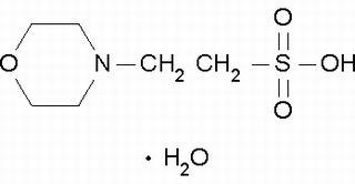 2-(N-嗎啡啉)乙磺酸