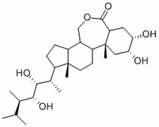 24-表油菜素內(nèi)酯